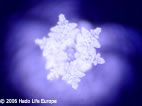cristal de glace d'une eau à osmose inversée après le CD de Kinema