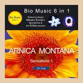 arnica montana - sensations
